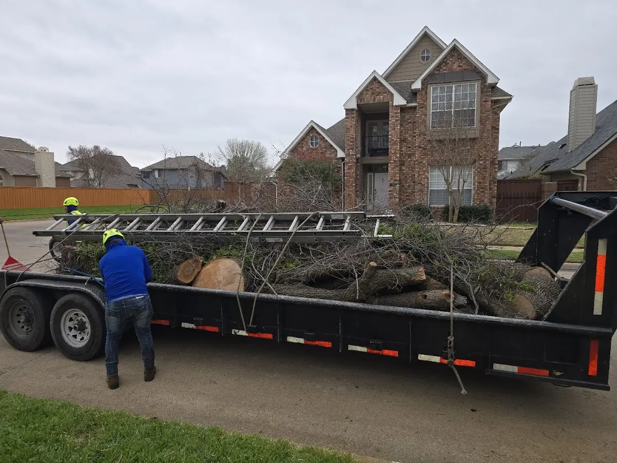 Expert Tree Removal with proper safety equipment in Sullivan City